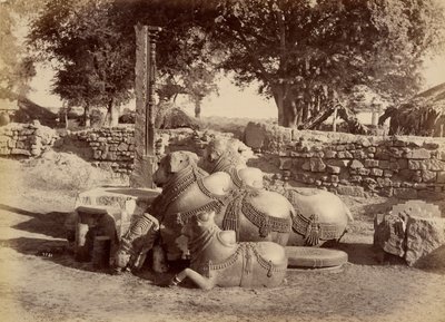 Heliga tjurar i Warungal Fort av Lala Deen Dayal