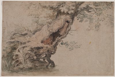 Hollow Tree, efter Roelant Savery av Lambert Doomer