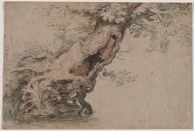 Hollow Tree, efter Roelant Savery, efter 1670. av Lambert Doomer