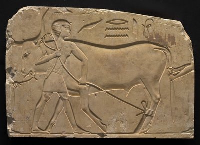 Män som trugar en oxe, 667-647 f.Kr av Late Period Egyptian