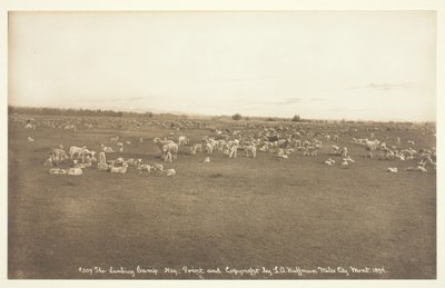 Lammningslägret, 1894. av Laton Alton Huffman