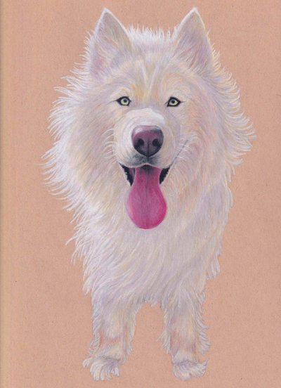 Snowky, 2021 (färgpenna på tonat papper) av Laurie Michaels