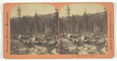 Lag på toppmötet, 1867. av Lawrence and Houseworth