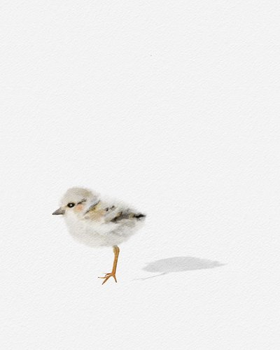 Shorebird, ca 2021 (blandteknik) av Leah Straatsma