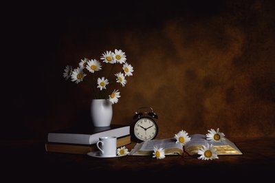 Daisies Books Morgonens frid av Leah Xu