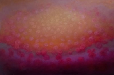 Uppryckning i Rose, 2025 av Lee Campbell