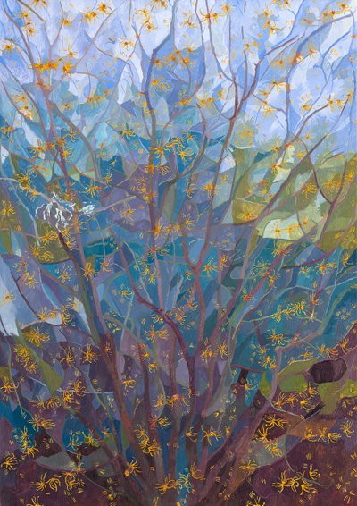 Trollhassel i blom, 2015 av Leigh Glover