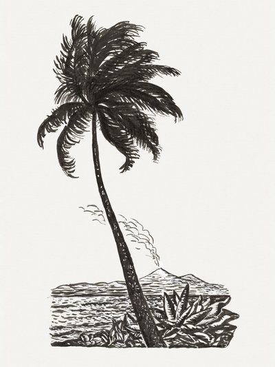 Palmträd med en ö (ca 1891–1941) av Leo Gestel