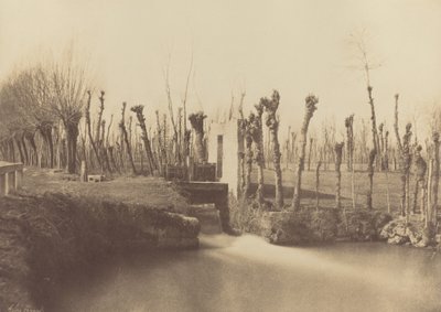 Landskap, Montebello,ca. 1860 (foto) av Léon Gérard