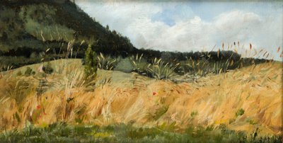Sädesfält av Leon Wyczolkowski