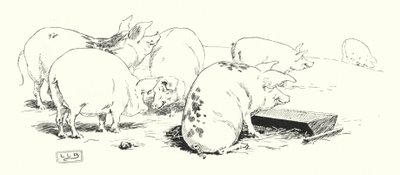 En långsvansad gris, eller en kortsvansad gris (gravyr) av Leonard Leslie Brooke