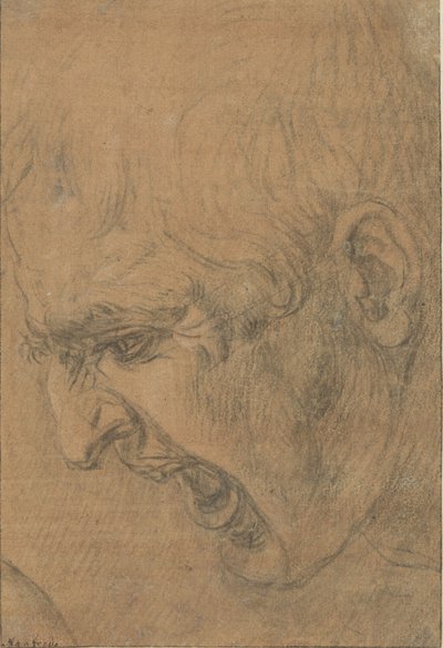 Huvudet på en skrikande man av Leonardo da (follower of) Vinci