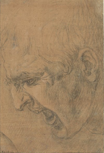 Huvudet på en skrikande man av Leonardo da Vinci (follower of)
