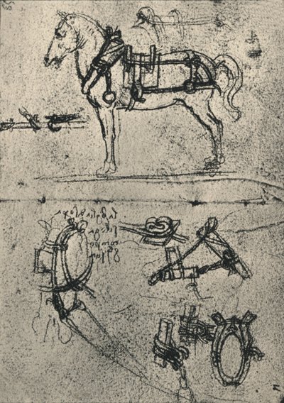 A Harnessed Cart-Horse and Studies of Sele, c1480 1945 av Leonardo da Vinci