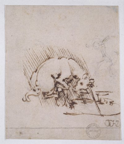 En enhörning som doppar sitt horn i en vattenpöl, ca 1481 (penna, bläck och metallspets på papper) av Leonardo da Vinci