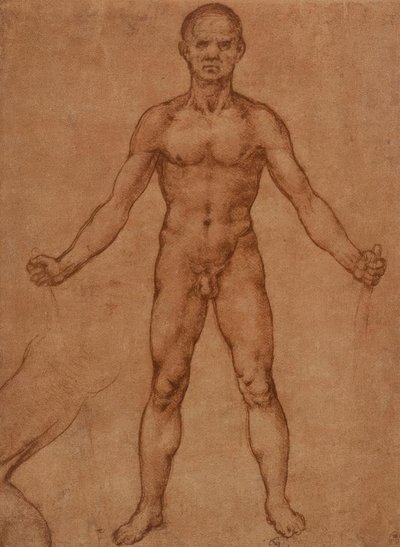 Nakenstudie av en stående man, frontal av Leonardo da Vinci