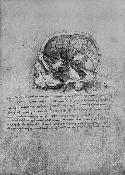 Anatomisk teckning av en skalle till vänster, c1480 1945 av Leonardo da Vinci