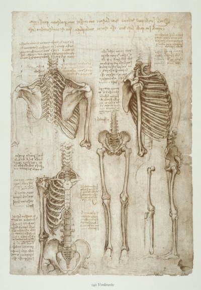 Anatomiestudier av Leonardo da Vinci