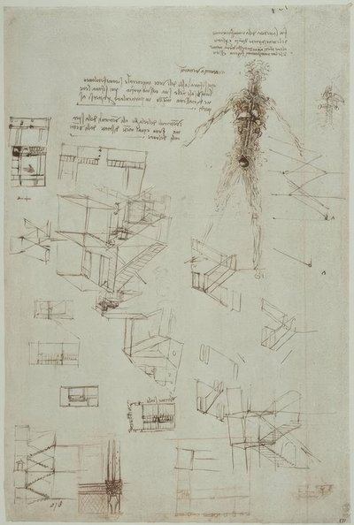 Anatomiestudien av Leonardo da Vinci