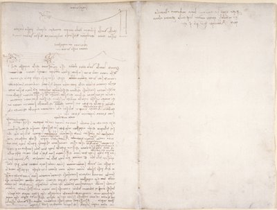 Arundel 263, f.166v, f.163 Anteckningar och diagram om fåglarnas flygning, från 