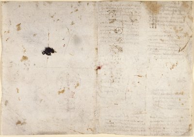 Arundel 263, f.225v, f.230 Ritningar på de mekaniska krafterna och krafterna, slagverk, gravitation, rörelse, optik och astronomi, med olika aritmetiska och geometriska propositioner (penna och bläck på papper) av Leonardo da Vinci