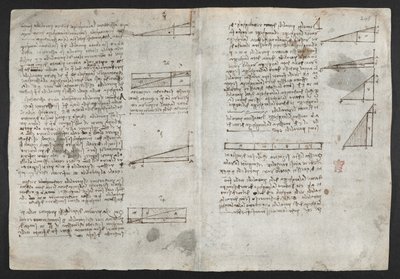 Arundel 263, f.246v Ritningar på de mekaniska krafterna och krafterna, slagverk, gravitation, rörelse, optik och astronomi, med olika aritmetiska och geometriska propositioner, illustration från Leonardos 