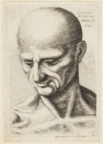 Den skallige mannen av Leonardo da Vinci