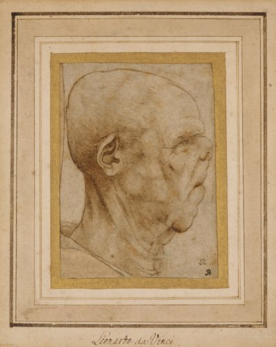 Karikatyr av en gammal mans huvud, i profil till höger, ca 1507 av Leonardo da Vinci