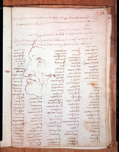 Codex Trivulziano av Leonardo da Vinci (Leonardo da Vinci) (1452 - 1519) - Trivulziana Library, Milano av Leonardo da Vinci