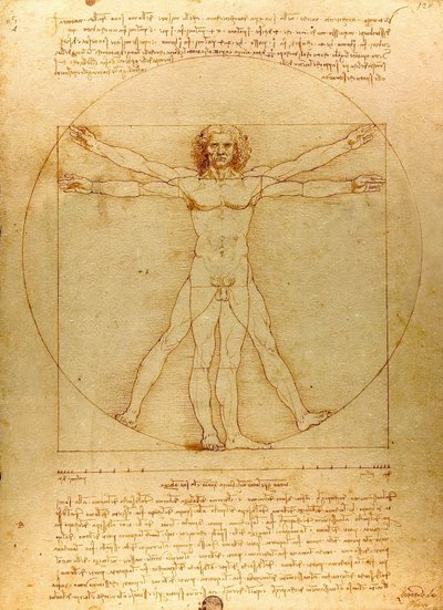 Da Vinci Vitruve Luc Viatour (beskuren) av Leonardo da Vinci