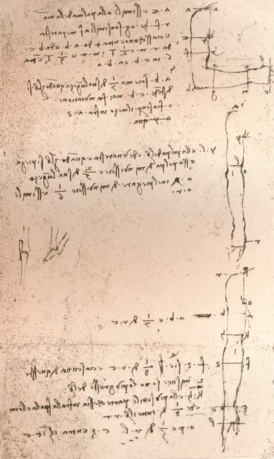 Ritning som illustrerar teorin om proportionerna av den mänskliga figuren, c1472-c1519 1883 av Leonardo da Vinci