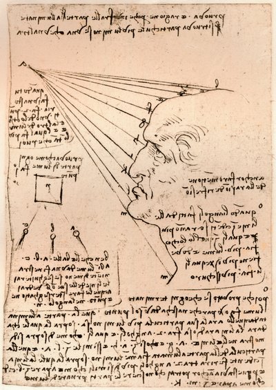 Teckning av ett manligt huvud, som illustrerar övningen att måla, c1472-c1519 1883 av Leonardo da Vinci