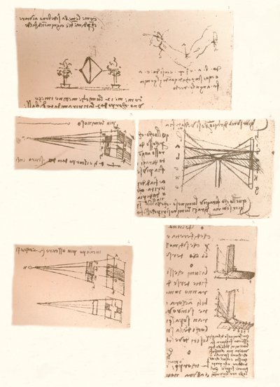 Fem teckningar som illustrerar måleriets teori, c1472-c1519 1883 av Leonardo da Vinci