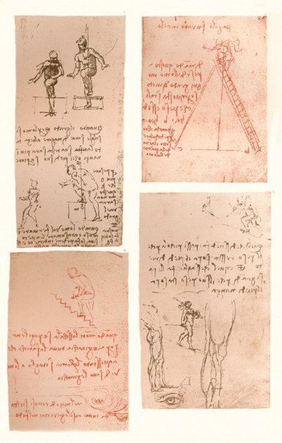 Fyra ritningar som illustrerar teorin om den mänskliga figurens rörelser, c1472-c1519 1883 av Leonardo da Vinci