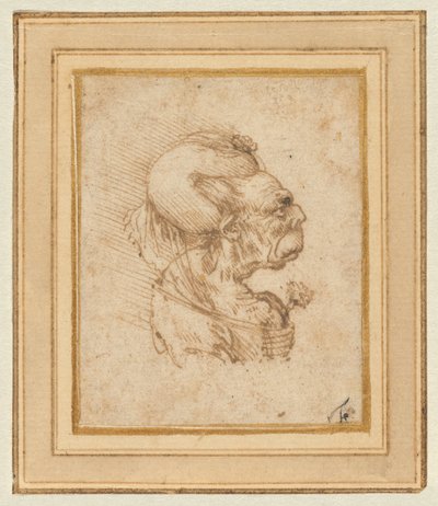 Groteskt huvud av en gammal kvinna av Leonardo da Vinci