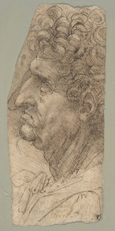 Manshuvud i profil, vänd åt vänster av Leonardo da Vinci