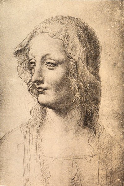 Chef för en ung kvinna, teckning av Leonardo da Vinci, Cabinet of Drawings and Prints, Uffizi, Florens av Leonardo da Vinci