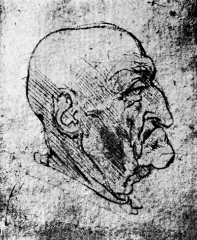 Chef för en gammal man, 1913 av Leonardo da Vinci