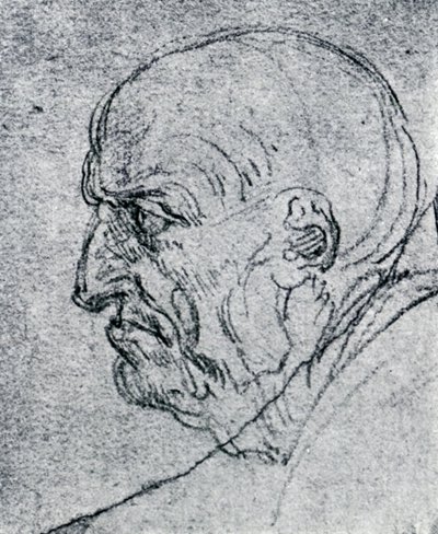 Chef för en gammal man, 1913 av Leonardo da Vinci