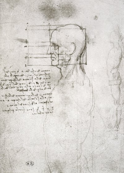 Chef för en gammal man i profil, faksimilkopia (penna och bläck på papper) av Leonardo da Vinci