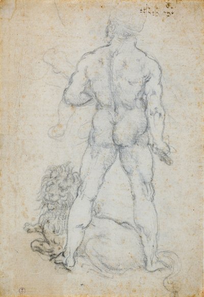 Herkules och det Nemeiska lejonet, ca. 1506-08 (kol och metallspets på vitt papper) av Leonardo da Vinci