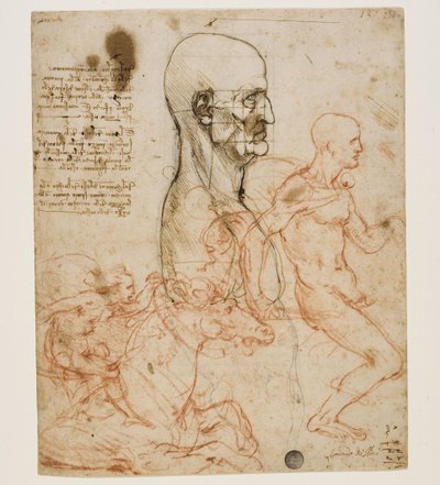 Människobyst i profil med studie av proportioner, ca. 1490-1499. av Leonardo da Vinci