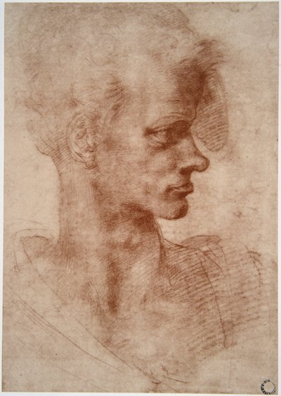 Leonardo da Vinci (Leonardo da Vinci) (1452 - 1519): Karikatyrporträtt av en ung man (Imagine) av Leonardo da Vinci