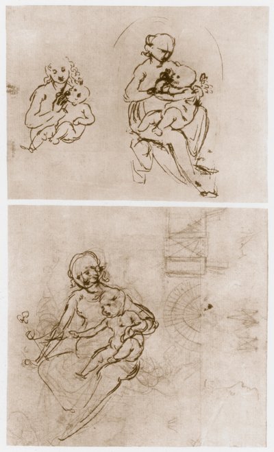 Madonna med blomman, c1478. av Leonardo da Vinci