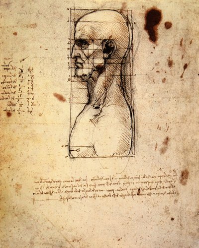 Manligt huvud i profil med proportioner av Leonardo da Vinci