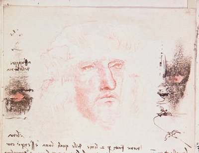 Notes on the Changes of direction in Flight, manuskriptsida från Codici Rari III 35.2, fol. 10v från Treatise on the Flight of Birds, 1505 (penna och bläck på papper) av Leonardo da Vinci
