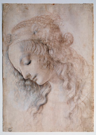 Porträtt av flicka - teckning av Leonardo da Vinci
