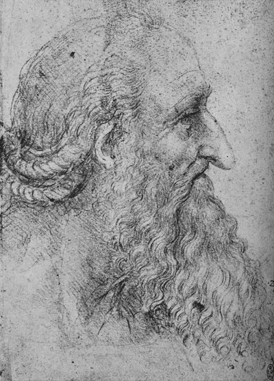 Profil av en gammal skäggig man till höger, c1480 1945 av Leonardo da Vinci