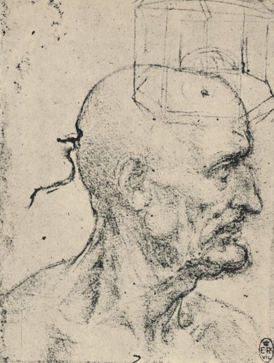 Profil till höger om en skallig man, c1480 1945 av Leonardo da Vinci