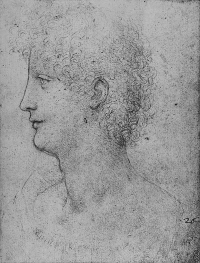 Profil till vänster om en curly-headed ungdom, c1480 1945 av Leonardo da Vinci